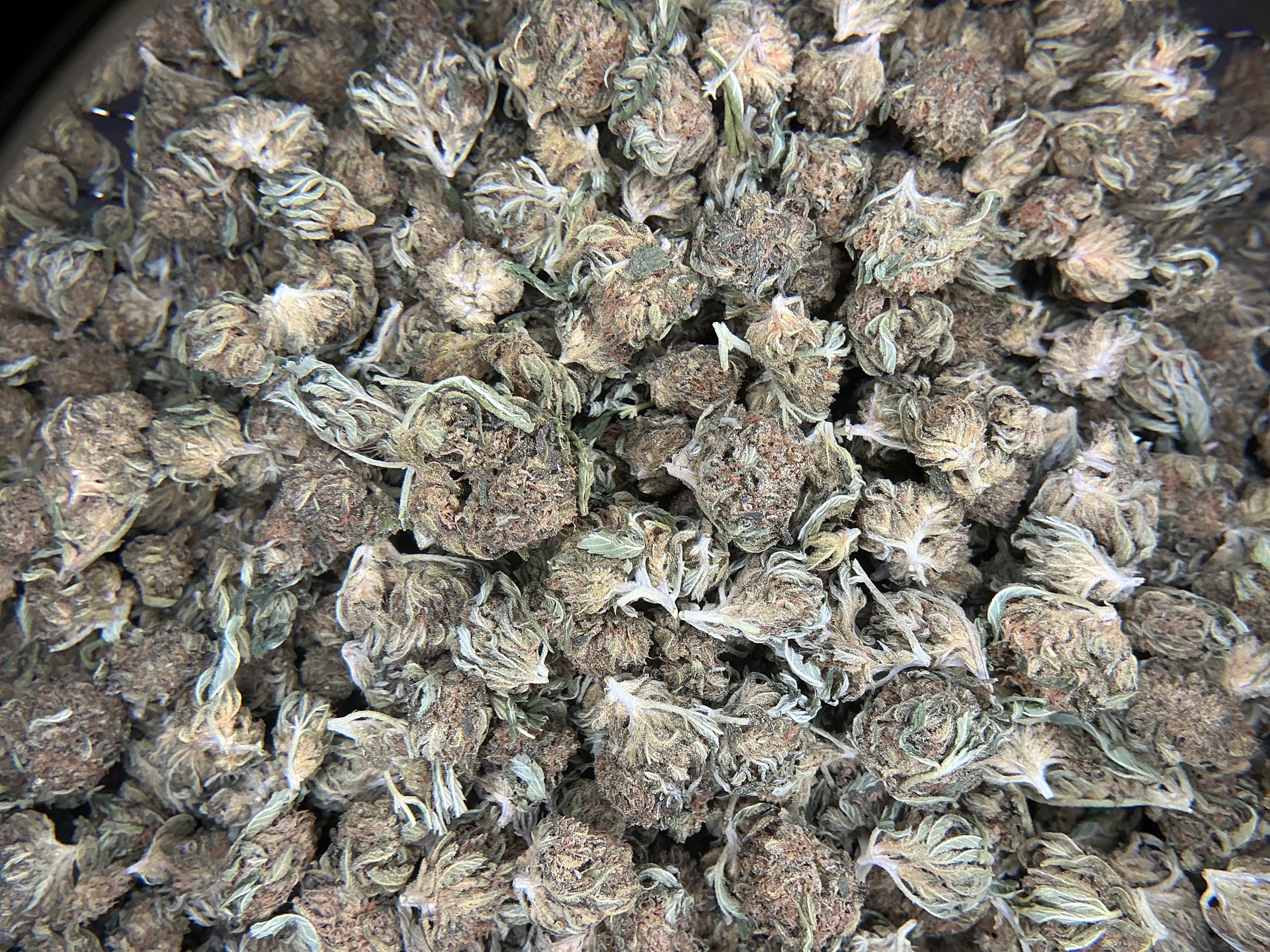 Bubba Smalls CBD Flower (Budget) / 28 Grams (1 Oz)